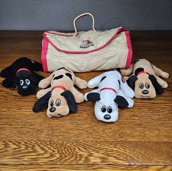 Tonka Other - Tonka Pound Puppy Case With Puppies 1986